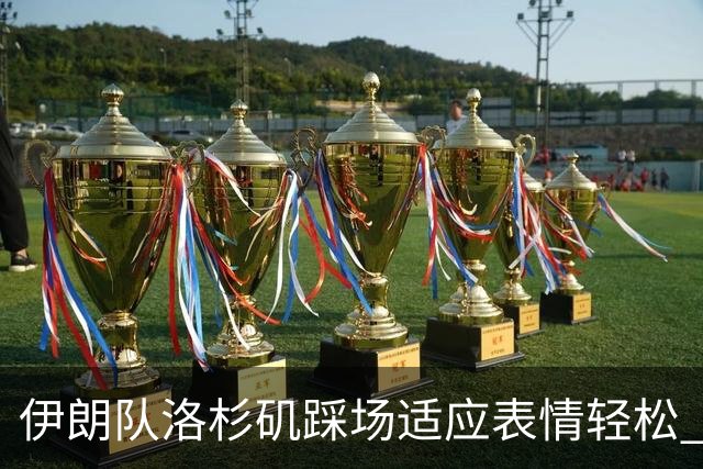 伊朗队洛杉矶踩场适应表情轻松 与挡板外记者们挥手致意